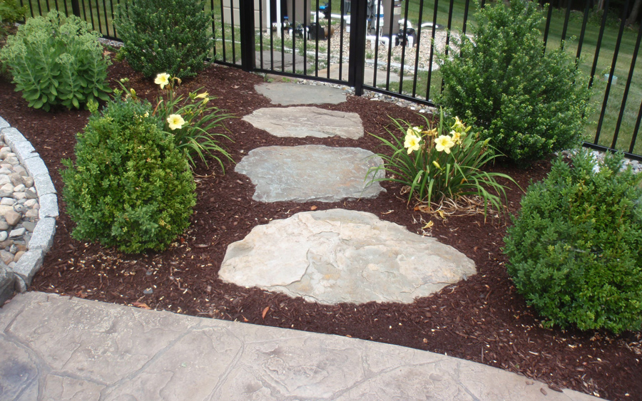 Stepping stone path detail through landscape planting and lawn